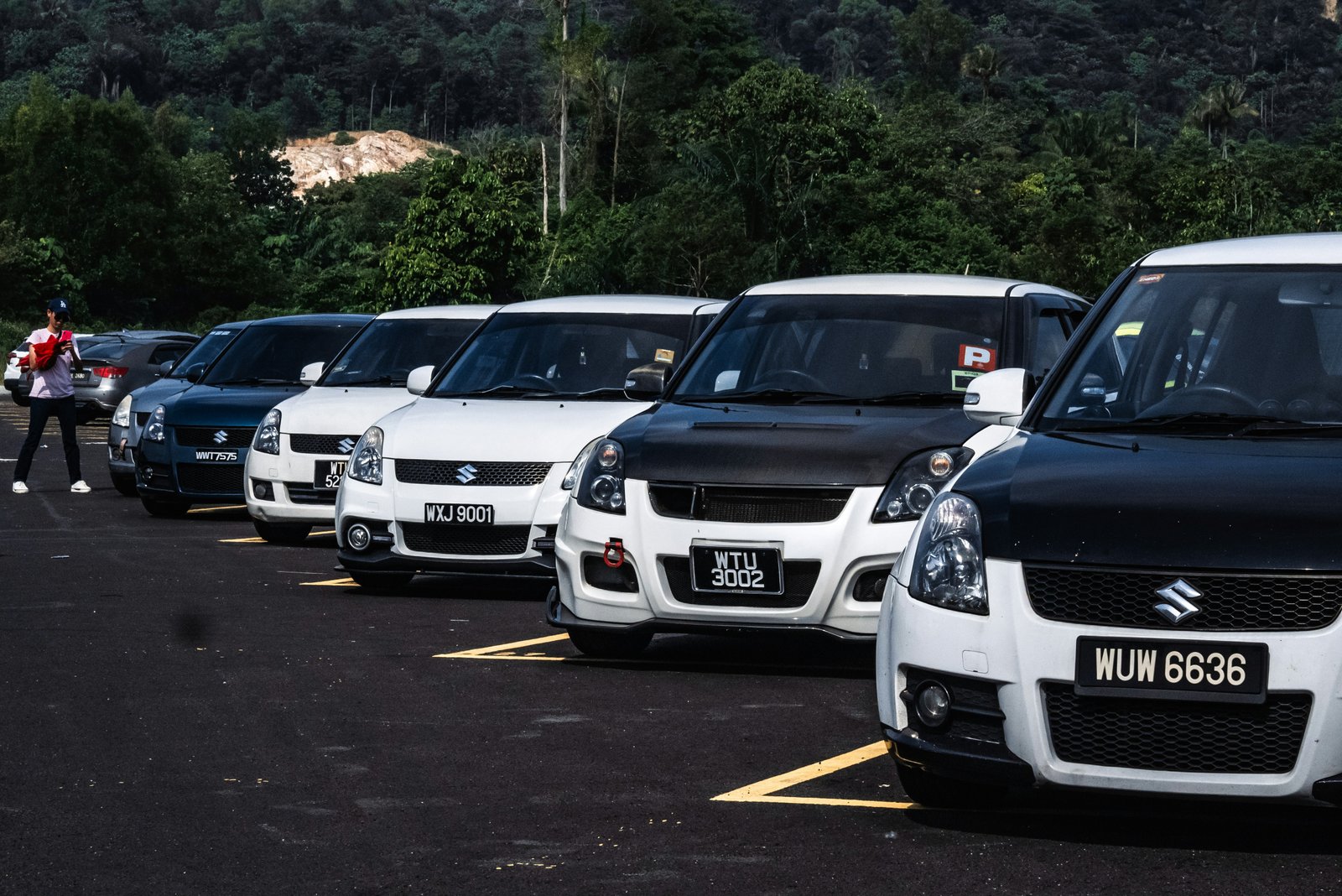 Car Rentals